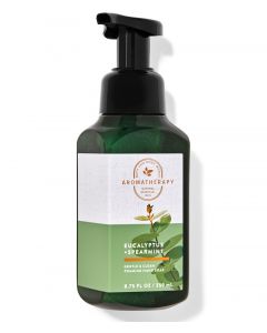 Bath & Body Works Eucalyptus + Spearmint Foaming Hand Soap 259ml